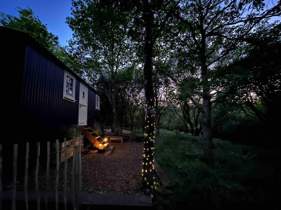 Cornwall Woodland Shepherd'S Hut - Dennis Hut Bodmin Exteriér fotografie