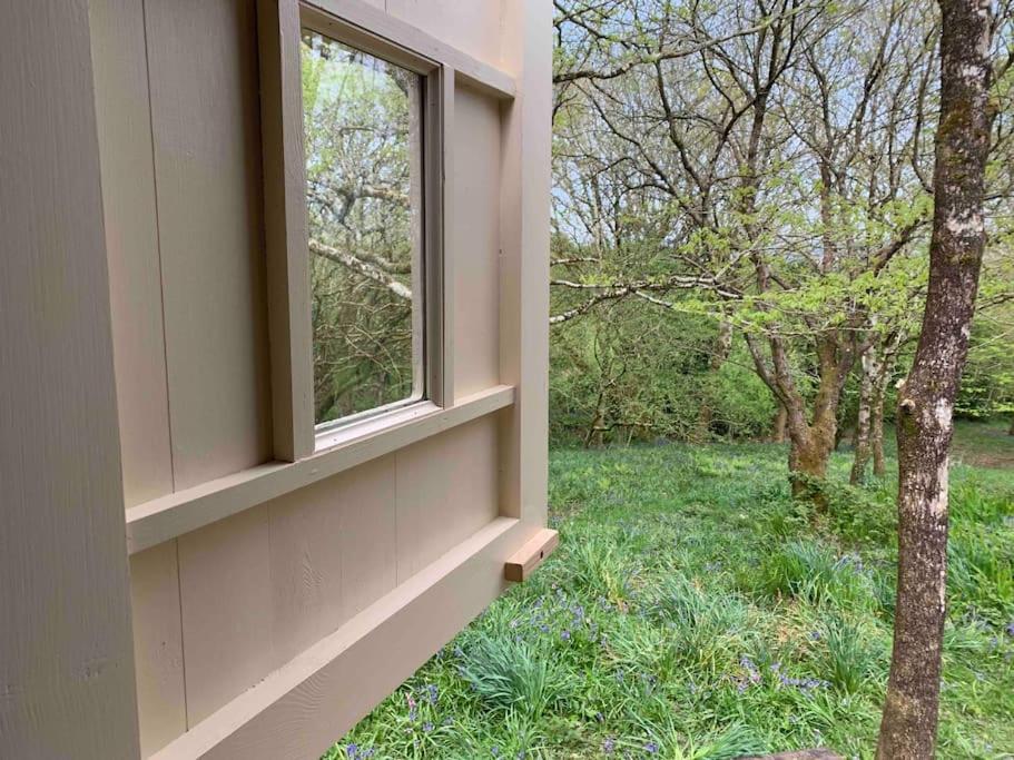Cornwall Woodland Shepherd'S Hut - Dennis Hut Bodmin Exteriér fotografie